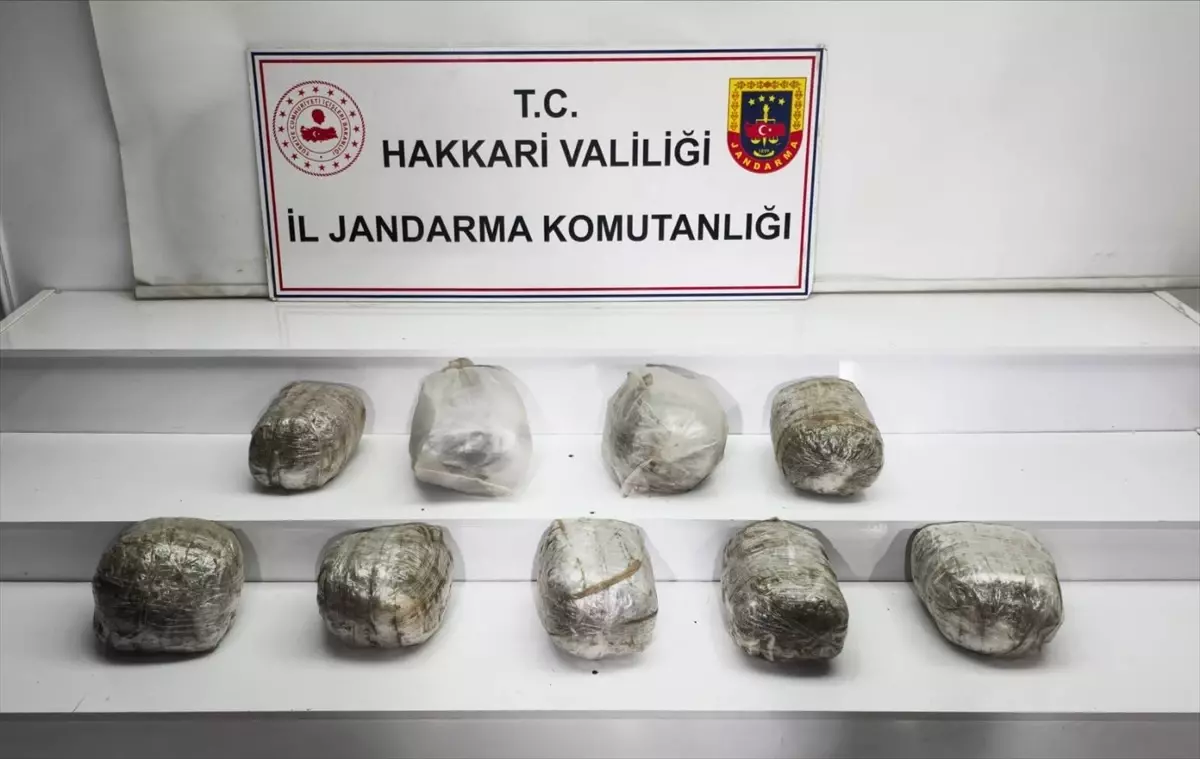 Hakkari’de 14 Kilogram Skunk Ele Geçirildi