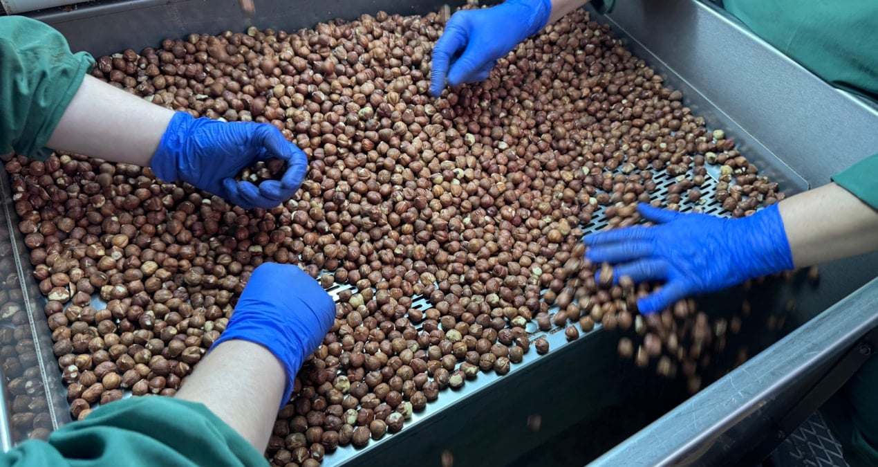 124 ülke fındık için Türkiye’ye para yağdırdı