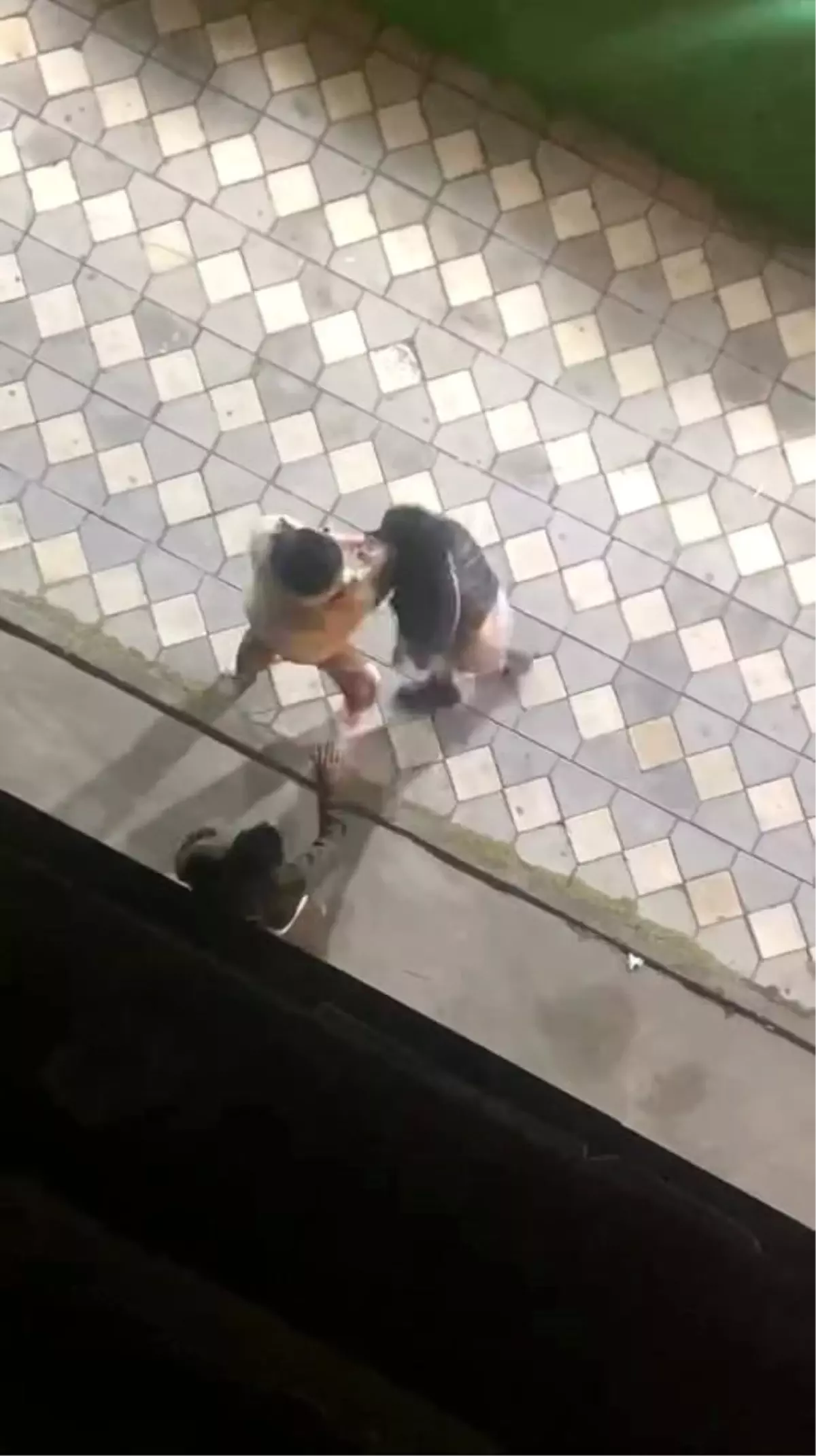 esenyurtta kadinlarin kavgasi kamerada hz9rdrOf