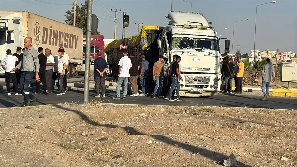 nusaybinde tir sinyalizasyon diregine carpti Gau5aPSG