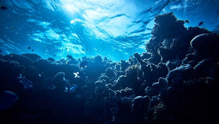 okyanusun altindan siziyor antarktikada sasirtan kesif fpmKVGCV