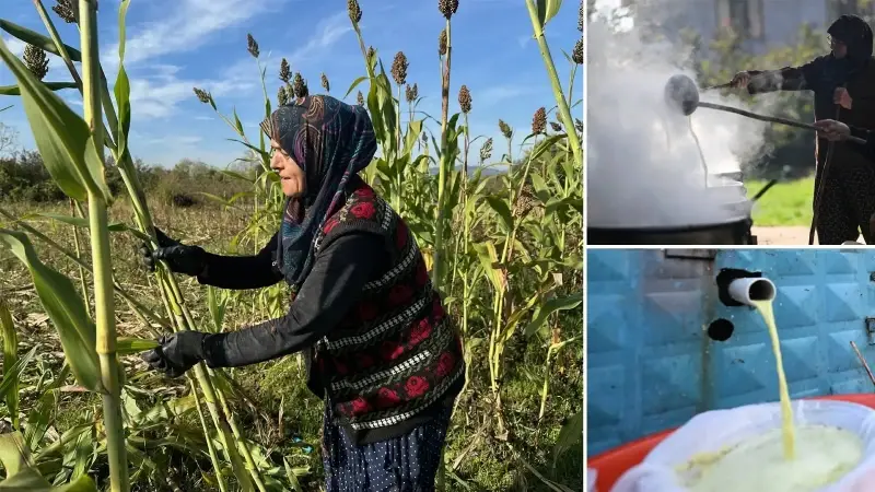 Devlet desteğiyle şeker kamışı ekti: Yılda 1 ton pekmez üretiyor